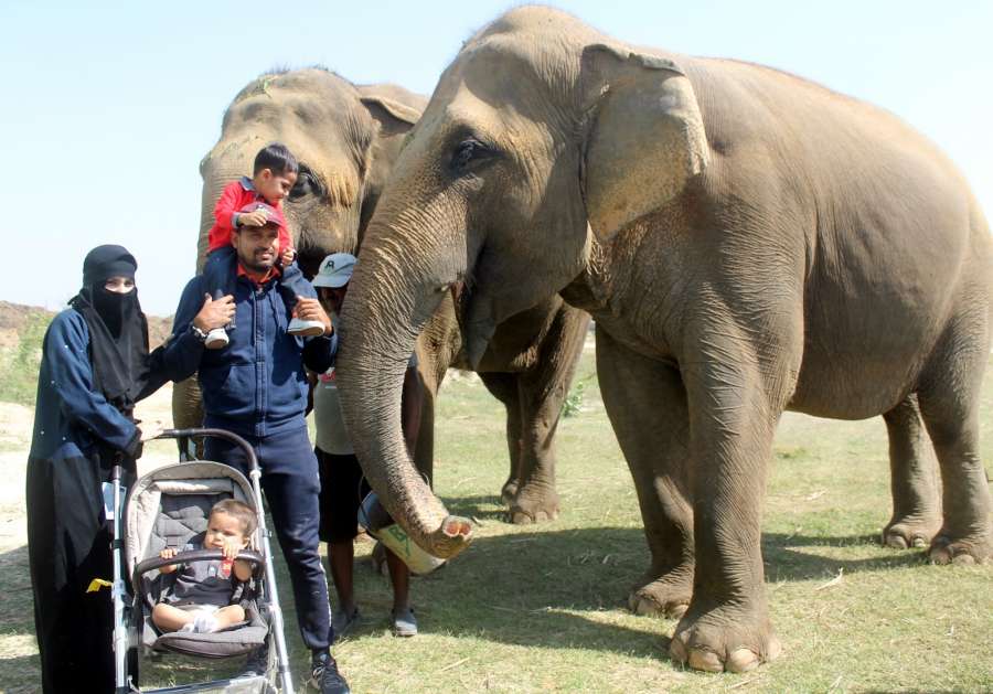 Churmura: Indian cricketer Yusuf Pathan with his family visit elephant conservation and rehabilitation centre in Churmura district of Mathura on March 17, 2017. (Photo: IANS) by . 