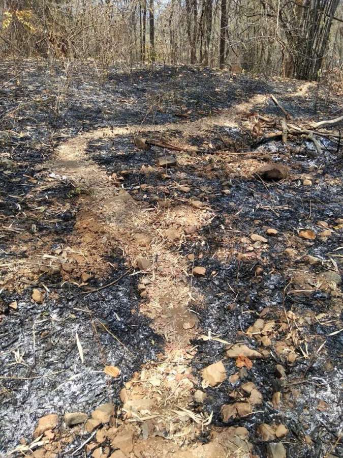 Sukma: The site where Maoists ambushed hundreds of Maoists ambushed and massacred at least 24 CRPF personnel in Chhattisgarh's Sukma district on April 24, 2017. The attack that took place at 12.30 p.m. when 74th Battalion of CRPF reached a forested area in Kala Pathar near Chintagufa.(Photo: IANS) by .