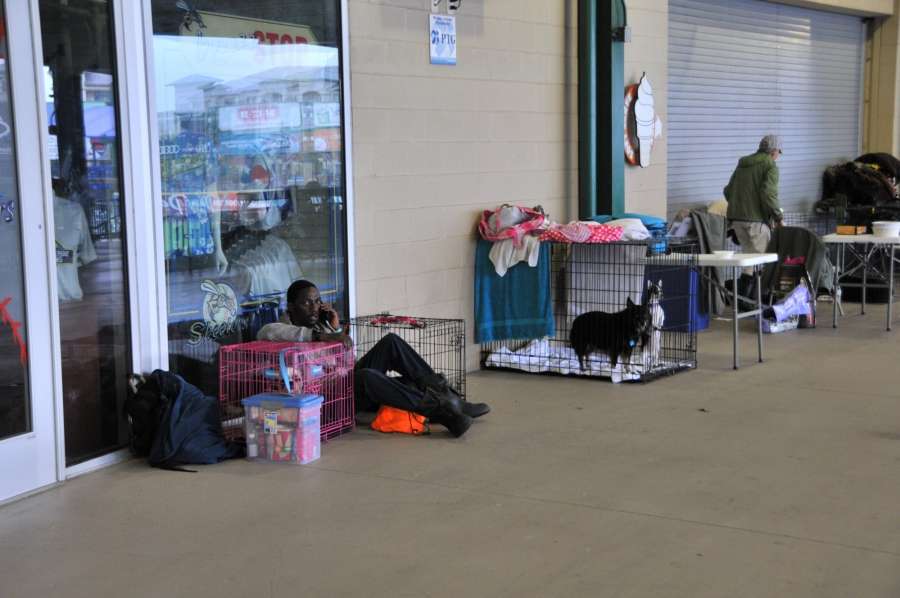 HOUSTON, Aug. 29, 2017 (Xinhua) -- Residents and pet dogs are evacuated to the Constellation Field shelter in Sugar Land near Houston, the United States, on Aug. 28, 2017. The priority at this moment was to evacuate people stranded in their houses, and the shelters across the Greater Houston have homed about 5,000 people, Mayor of Houston Sylvester Turner told a press conference on Monday. (Xinhua/Liu Liwei/IANS) by .
