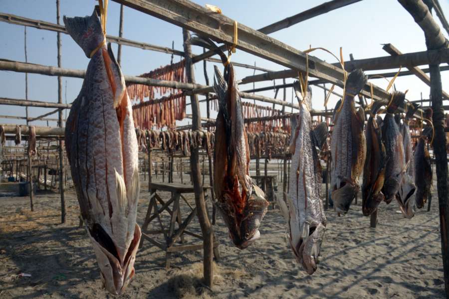 KUAKATA, Jan. 7, 2018 (Xinhua) -- Fish are dried in the sun at Kuakata in southeast Bangladesh's Patuakhali district, Jan. 5, 2017. (Xinhua/Salim Reza/IANS) by .