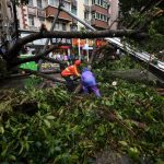 SHENZHEN, Sept. 17, 2018 (Xinhua) -- People clear fallen trees in Futian District of Shenzhen, south China's Guangdong Province, Sept. 17, 2018. Local meteorological authority cancelled the yellow warning against typhoon Monday afternoon. The disaster relief work is underway. (Xinhua/Mao Siqian/IANS) by . 