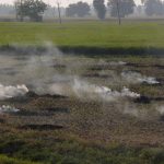 Amritsar: Paddy stubble being burnt in a field on the outskirts of Amritsar, on Oct 12, 2018. (Photo: IANS) by . 