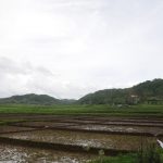 Agriculture in Meghalaya. Photo by Sharada Prasad CS/Wikimedia Commons. by . 