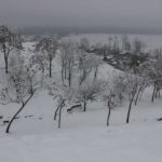 Srinagar receives heavy snowfall on Feb 1, 2019. (Photo: IANS) by .