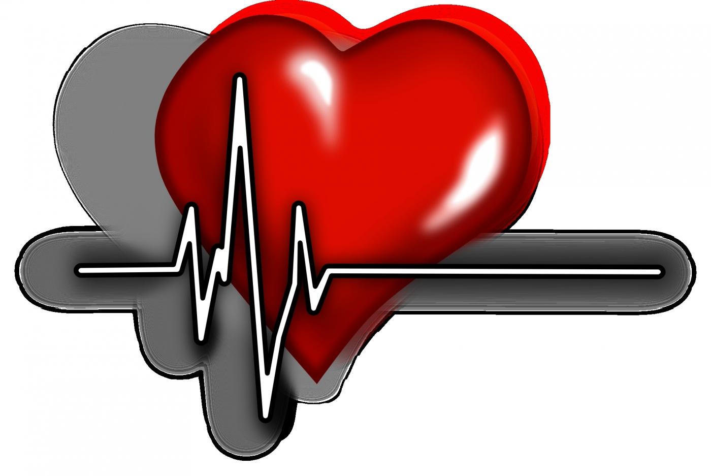 Heart. by .