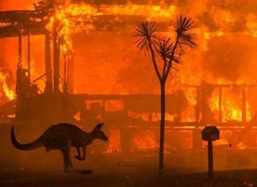 Australian bushfire. (Photo Credit: wholesomeculture/Instagram) by . 