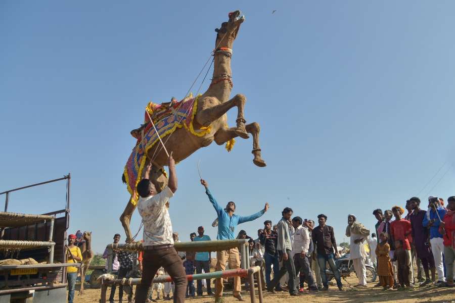 Pushkar Fair. (File Photo: IANS) by .