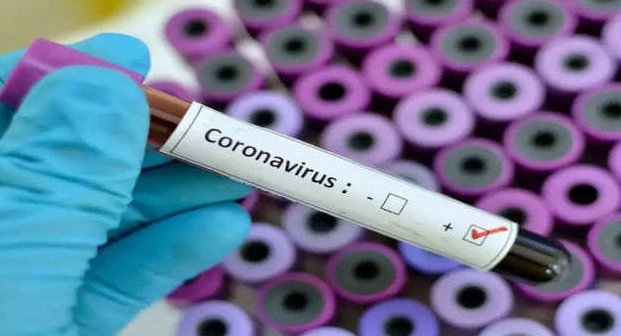 coronavirus. by . 