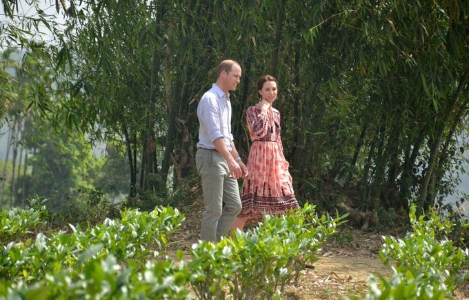 Prince William expresses shock over flood devastation in Kaziranga. by .