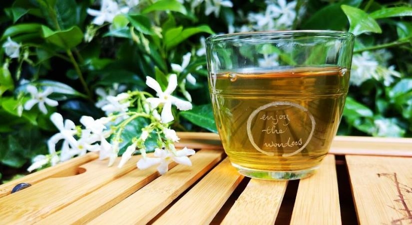 Revisit the proven benefits of green tea, before your incorporate it in your diet by . 