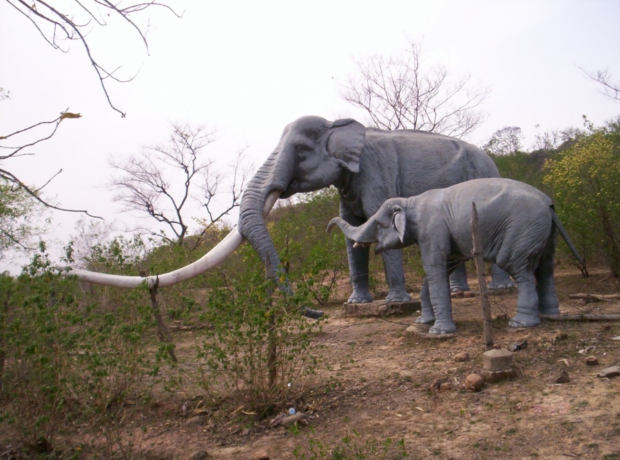 Siwalik Fossil Park. (Photo Courtesy: Wikipedia) by . 