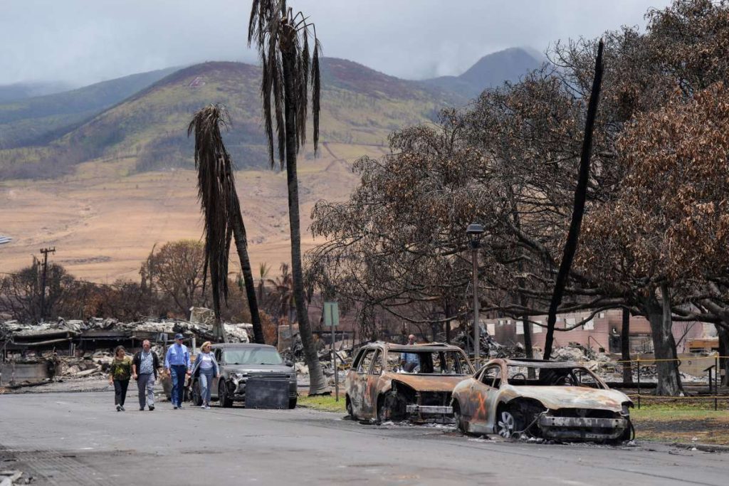 Hawaii wildfires