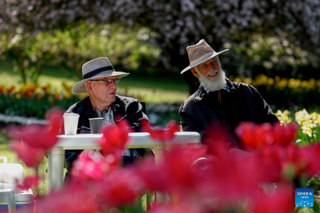 Canberra in Spring: A Colourful Escape