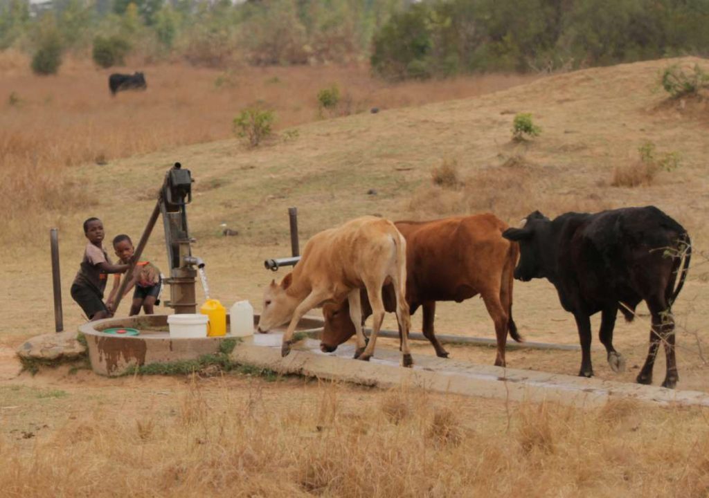 Children fetch water from a well in Mt. Darwin, Zimbabwe, Oct. 11, 2019. 