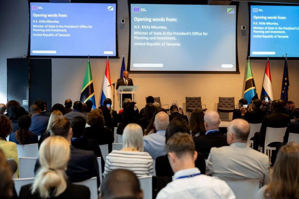 EU–Tanzania Investment Roadshow
