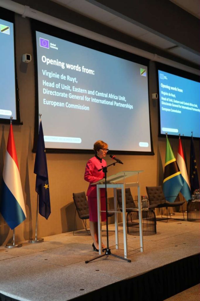 EU–Tanzania Investment Roadshow