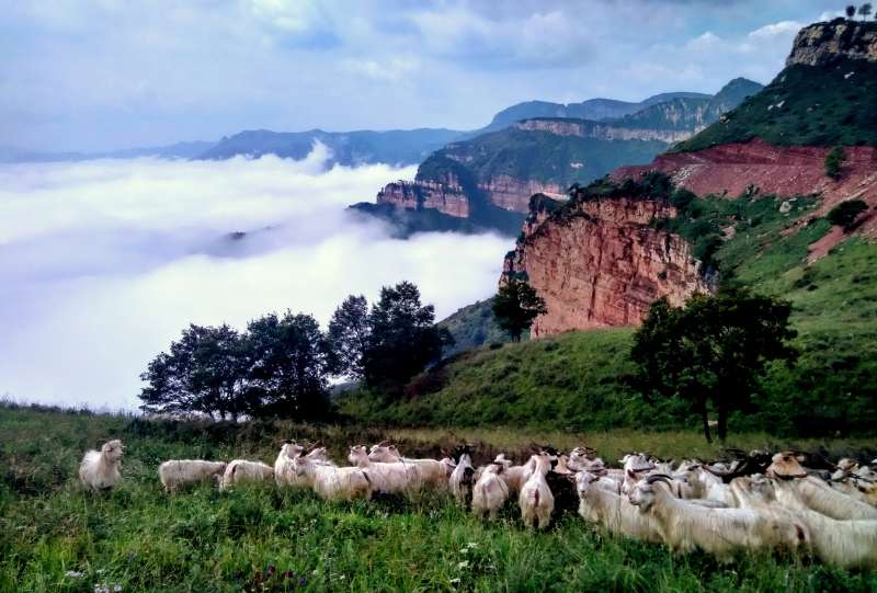 Photo shows a view of the Jiulong Valley on the Taihang Mountain in Xingtai County, north China's Hebei Province