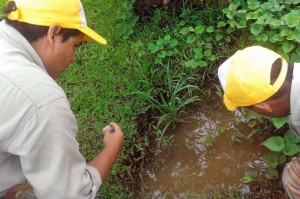 (160205) -- MISIONES, Feb. 5, 2016 (Xinhua) -- Sanitary technicians take samples of larvae of the Aedes aegypti mosquito, that transmit the Zika, Dengue and Chikungunya virus, in a superficial pond of water sewage in the backyard of a house in the province of Misiones, Argentina, on Feb. 4, 2016. Health ministers of 13 Latin American nations agreed on Wednesday in Montevideo to promote the cooperation to stop the advance of the Zika virus in the region. (Xinhua/TELAM) (rtg)