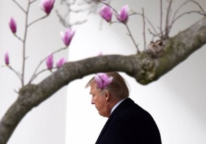 (170303) -- WASHINGTON, March 3, 2017 (Xinhua) -- U.S. President Donald Trump walks to board Marine One from the White House in Washington D.C., the United States, March 3, 2017. (Xinhua/Yin Bogu)